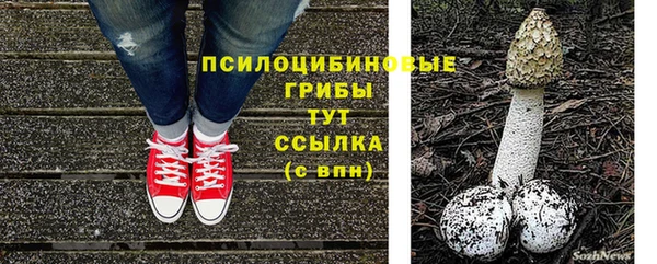 спиды Беломорск