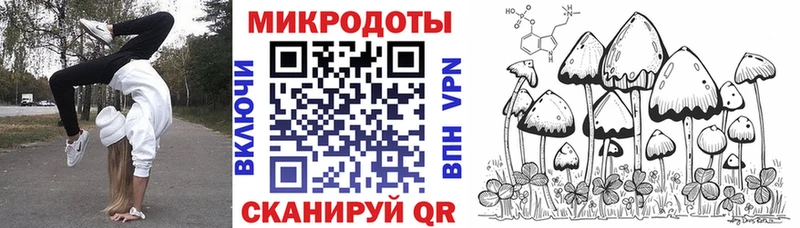 купить закладку  Высоцк  ссылка на мегу вход  Галлюциногенные грибы MAGIC MUSHROOMS 